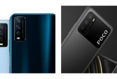 Gak Perlu iPhone! Temukan Daftar HP 2 Jutaan dengan Kamera Paling Jernih untuk Konten TikTok & Reels