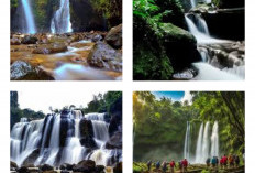 Dijamin Seru! 5 Destinasi Wisata Air Terjun Ikonik dan Hits di Madiun, Wajib Didatangi Guyss