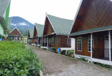 Villa dan Hotel Full Wisatawan