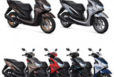 Pilihan Warna Yamaha FreeGo Terbaru, Biar Makin Stylish di Jalan
