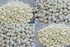 Cemilan Legendaris! Inilah Resep Membuat Kacang Atom Super Renyah