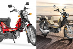 Motor Baru TVS XL100, Klasik dan Irit, Lebih Murah dari Honda BeAT!, Segini Harganya!