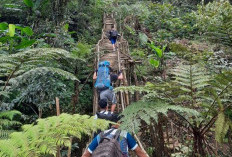 MENYERAMKAN! Ini Misteri Perempuan Berbaju Putih di Gunung Kencana