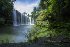 Ini Dia! 6 Wisata Air Terjun Di Lubuk Linggau Siap Memanjakan Mata Wisatawan, Cek Lokasinya