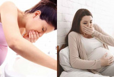 Mual Saat Hamil? Simak Mom 5 Cara Alami Ini untuk Menguranginya