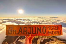 Rekomendasi Jalur Pendakian Gunung Arjuno