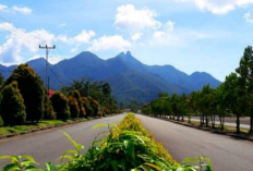 Ini Penjelasan Tentang Fakta Menarik  Dari Gunung Daik, Kepulauan Riau