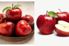 Buruan Cobain! Manfaat Apel Untuk Kesehatan Tubuh Yang Jarang Diketahui