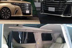 Mewah Tapi Beda Kelas! Ini 5 Perbedaan Rahasia Alphard Bekas Silver Bird vs Versi Rumahan yang Wajib Anda Tahu