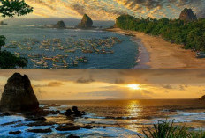 Pesona Keindahan Pantai Papuma: Wisata Bahari Seru di Jember, Cocok Untuk Liburan Weekend Anda!