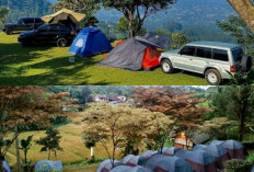Bikin Nagih! Ini 6 Tempat Camping Terfavorit di Bogor