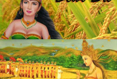 Simbol Kemakmuran. Mitologi Jawa Dewi Padi Pemberi Perlindungan dan Kemakmuran 