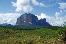 Keajaiban Alam Malaysia, Memahami Keanekaragaman Hayati Gunung Harun