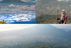 Keajaiban Alam dan Cerita Mistis, Menapaki Gunung Sindoro, Tertinggi di Pulau Jawa!