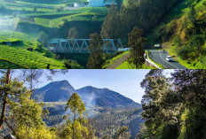 Liburan Akhir Pekan yang Menyegarkan, Menjelajahi Keindahan Lereng Gunung Lawu!