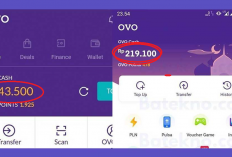 Cuma Isi Survei, Bisa Dapat Rp100.000 di OVO! Ini Cara Rahasianya!