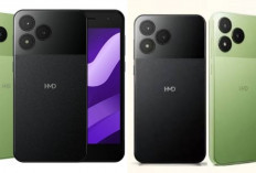 Harga Terbaru Juli 2026 HMD Asha 305: Masih Murah dan Diburu Kolektor, Berapa Harganya Sekarang!
