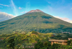Keindahan Alam Dari Puncak Tertinggi Kedua Di Pulau Jawa: Gunung Slamet