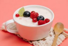 Wajib Banget Kamu Cobain! Ini 5 Gizi Seimbang Dengan Yoghurt Makanan Ringan yang Kaya Nutrisi