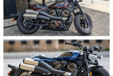 Harley Davidson Terasa Kurang Nyaman untuk Harian, Ini Penyesuaian yang Sering Dilakukan