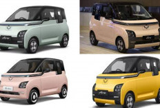 10 Rekomendasi Mobil Listrik Terbaik di Indonesia Tahun 2025: Dengan Performa Kencang Dan Harga Terjangkau