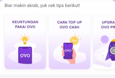 Tak Perlu Khawatir! Ini Dia Cara Cerdas Dapatkan Saldo Gratis dan Cashback di OVO