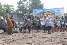 Optimalisasi Lahan, Perkuat Ketahanan Pangan