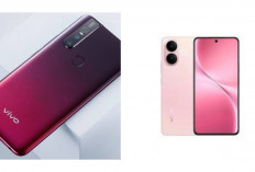 Ini 4 Rekomendasi HP Vivo Ringkas yang Nyaman Digenggam Satu Tangan!