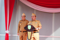 BANGGA! Pemprov Sumsel Puas Dengan Kinerja Seluruh ASN Diawal Tahun 2026