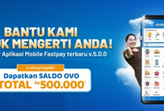 5 Aplikasi Survey yang Bisa Transfer Langsung ke OVO