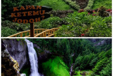 5 Destinasi Wisata Terbaik di Ngawi untuk Liburan Keluarga, Cocok Dikunjungi Awal Tahun 2026