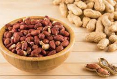 Apakah Kacang Tanah Itu Bergizi? Yuk Intip 5 Rahasia Kesehatan dari Dalam Kacang Tanah