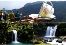 Madiun Tidak Cuma Pecel! Keindahan Alam Spesial di Lereng Wilis