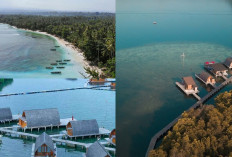 Sangat Memukau, Destinasi Wisata Indah dan Memukau di Pantai Krui!