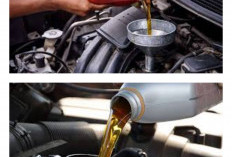 Jangan Diabaikan! Ini Alasan Mobil Wajib Ganti Oli Setelah Perjalanan Jauh