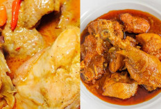 Cobain Yuk Ide Olahan Ayam Berkuah, Bahan yang Diperlukan, dan Tipsnya Sangat praktis?