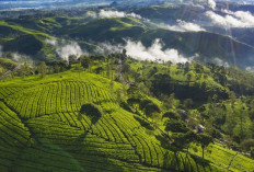 Menjelajahi, 5 Wisata di Jawa Barat yang Sangat Menakjubkan, Cek Lokasinya