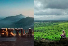 Dari Hutan Rindang Hingga Spot Fotografi Keren, Simbat Punya Segalanya!