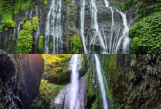 Wisata Alam Indonesia: Air Terjun Eksotis yang Wajib Masuk Bucket List