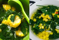 Resep Sayur Bening Daun Katuk, Cocok Untuk Menurunkan Kolesterol!