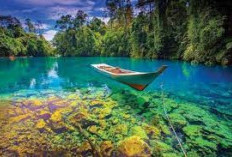 Keindahan Pulau Borneo Dengan Hutan Tropis Yang Luas Dan Tebal 