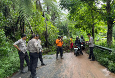 Hujan Deras, Akses Jalan Tertutup Longsor