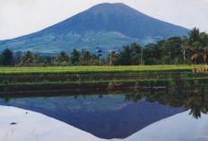 Belum Terungkap, 5 Fakta Keangkeran Gunung Dempo Sumsel, Nomor 4 Sering Dialami Pendaki, Ngeri!