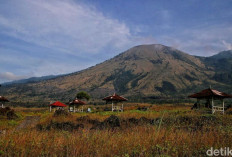 Gunung Guntur: Pesona Alam Garut yang Ramah bagi Pendaki Pemula