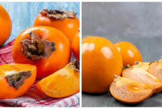 Jarang Diketahui! 4 Manfaat Buah Kesemek 