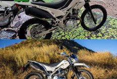 Kawasaki KLX230 Sherpa 2026, Motor Dual-Purpose Nyaman dengan Performa Gahar di Segala Medan, Ini Speknya!