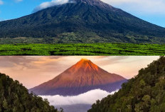 Cerita Mistis di Gunung Kerinci, Dari Orang Pendek Hingga Suara-Suara Aneh!