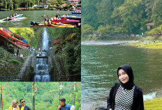 Bukit Mulyo Indah, Menikmati Panorama Alam dari Ketinggian di Magetan!