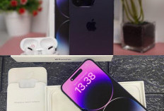 iPhone 14 Pro Max Bekas iBox Januari 2026 Mulai Rp11 Jutaan – Turun Drastis!