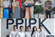 Pengurangan PPPK Jadi Sorotan, Ini 4 Langkah Solusinya